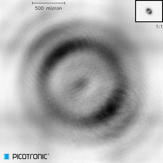 weiteres Artikelbild weiteres Artikelbild