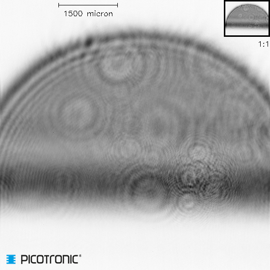 Punktlaser, infrarot, 980 nm, 20 mW, 3 V DC, Ø22x70 mm, Laserklasse 3B, Fokus kollimiert, Kabelläng…